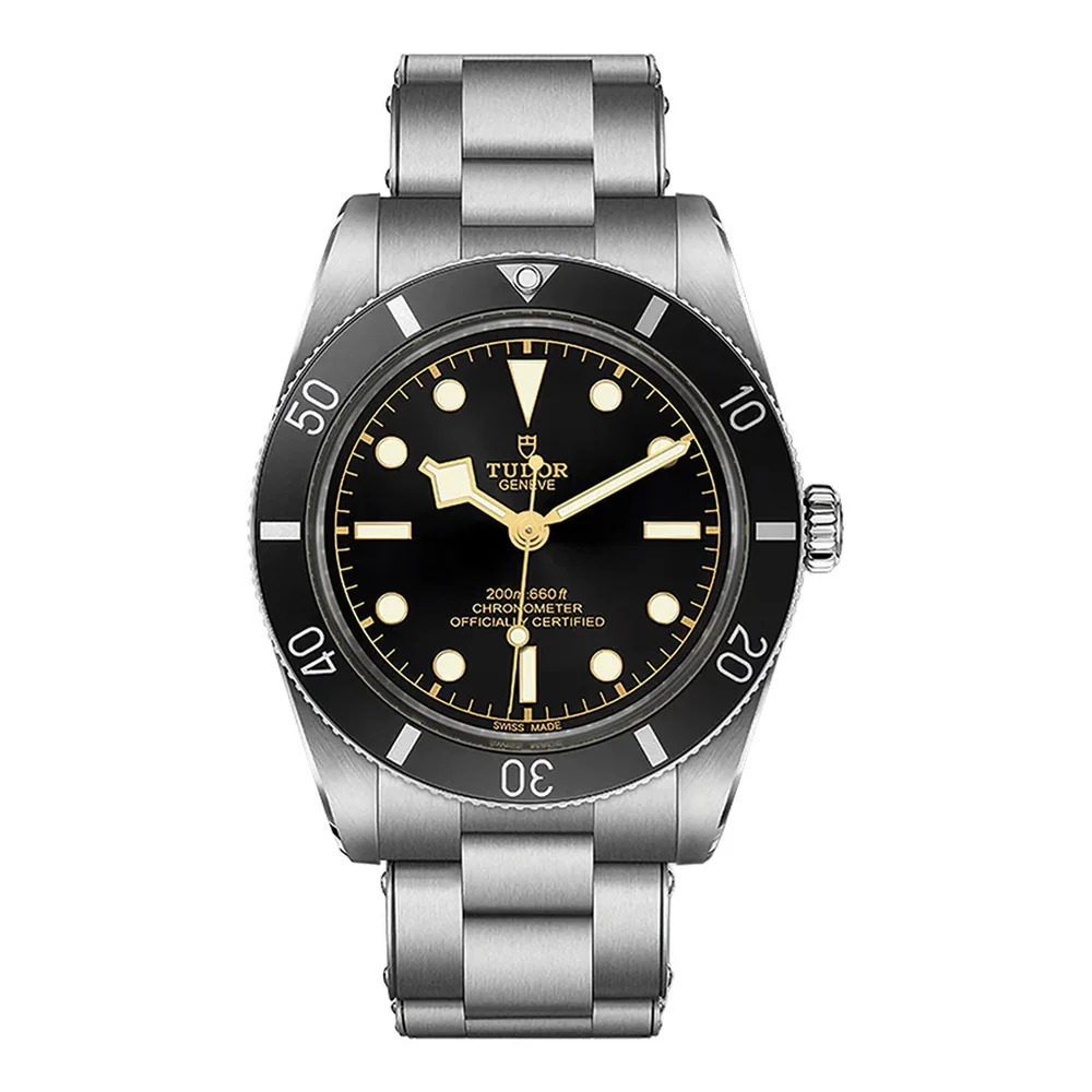 Tudor Black Bay